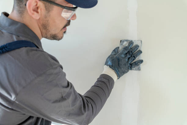 Best Drywall Sanding and Smoothing  in Leetonia, OH